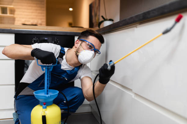 Best Pest Inspection Near Me  in Henryetta, OK