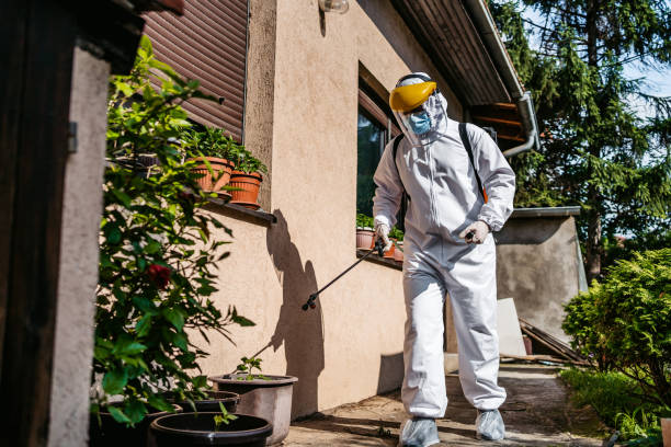 Best Mosquito Control Services  in Henryetta, OK