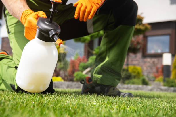 Best Flea Control Services  in Henryetta, OK