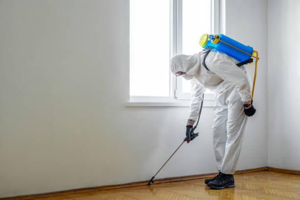 Best Affordable Pest Control Services  in Henryetta, OK