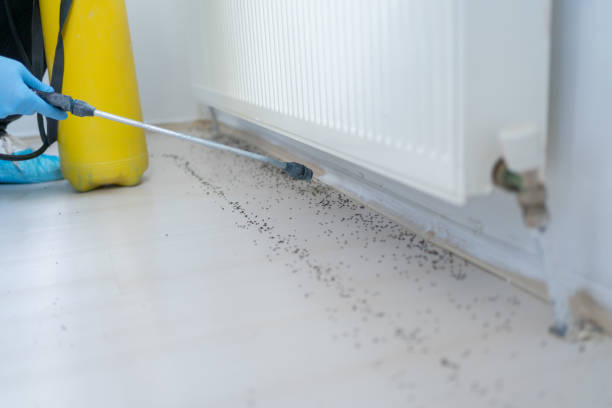 Best Pest Removal Services  in Henryetta, OK